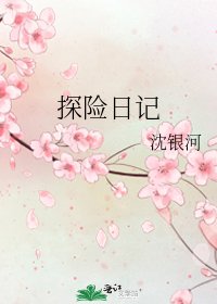 《探险日记》