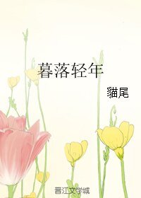 《暮落轻年》