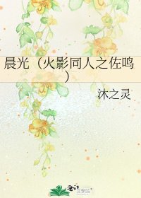 《晨光(火影同人之佐鸣)》