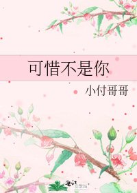 《可惜不是你》