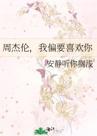 《周杰伦,我偏要喜欢你》