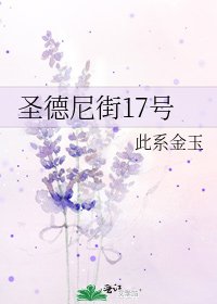 《圣德尼街17号》