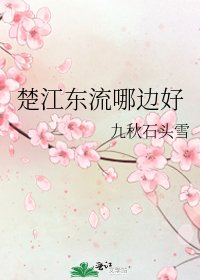 楚江东流哪边好