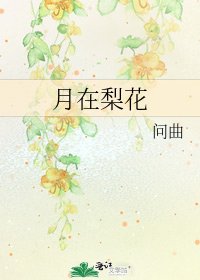 《月在梨花》