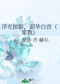 《浮光掠影,韶华白首(家教)》