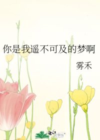 你是我遥不可及的梦啊