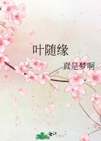《叶随缘》