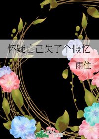 《怀疑自己失了个假忆》