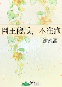 《网王傻瓜,不准跑》