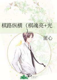 《棋路纵横(棋魂亮+光)》