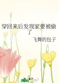 穿回来后发现家要被偷了