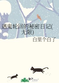 《遇鬼轮回的秘密日记(无限)》