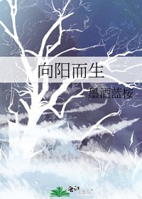 向阳而生