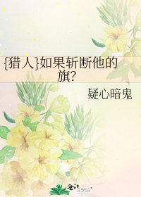 《{猎人}如果斩断他的旗?》