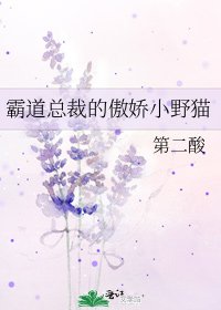 霸道总裁的傲娇小野猫