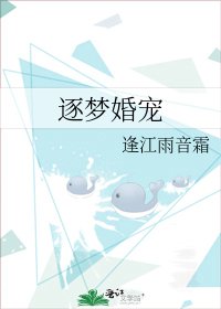 《逐梦婚宠》
