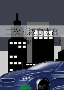 《二次元浓度太高》