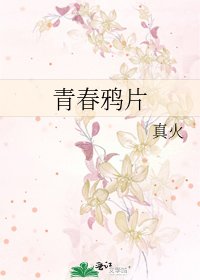 《青春鸦片》