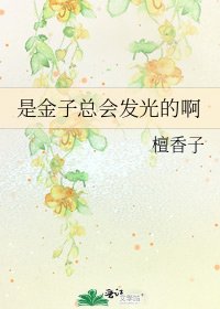 《是金子总会发光的啊》