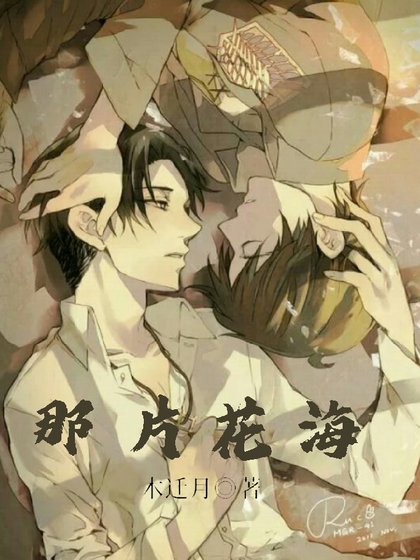 《那片花海》