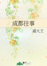 《成都往事》