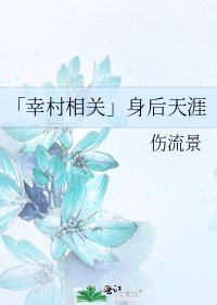 《「幸村相关」身后天涯》