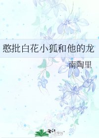 憨批白花小狐和他的龙