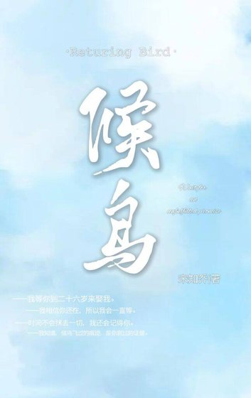 《候鸟》