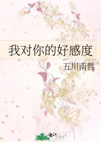 我对你的好感度