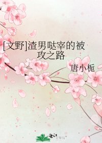 [文野]渣男哒宰的被攻之路