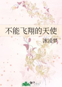 不能飞翔的天使