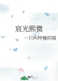 《宸光熙微》
