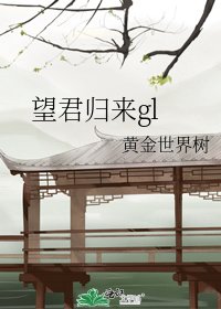 《望君归来gl》