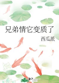 《兄地情它辩质了》