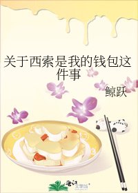 《关于西索是我的钱包这件事》