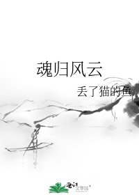 《浑归风云》