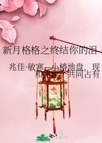 《新月格格之终结你的泪》