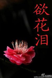 《欲花泪》