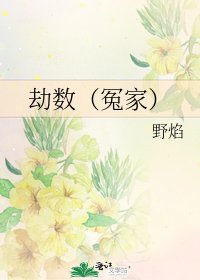 《劫数(冤家)》