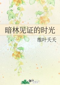 《暗林见证的时光》