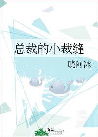 总裁的小裁缝