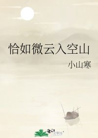 《恰如微云入空山》