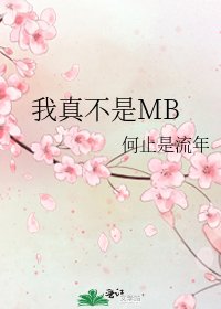 《我真不是MB》