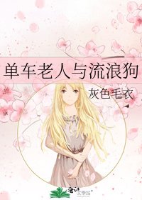 《单车老人与流浪狗》