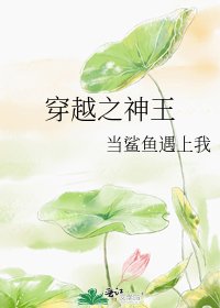 《穿越之神王》