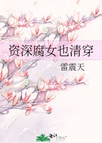 《资深腐女也清穿》