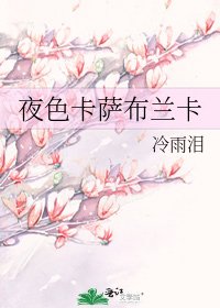 《夜色卡萨布兰卡》