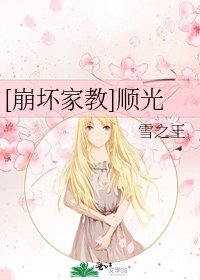 [崩坏家教]顺光