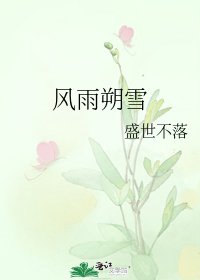 风雨朔雪