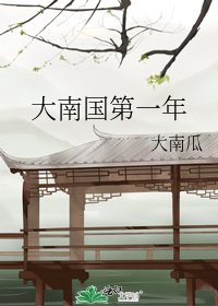 《大南国第一年》